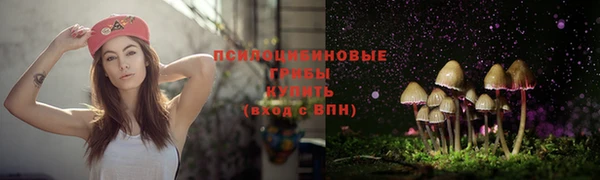 метадон Новозыбков
