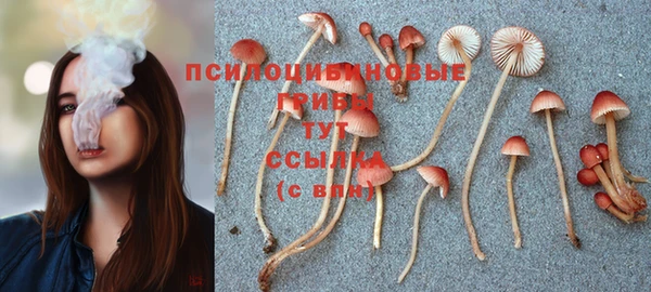 mdma Белая Холуница