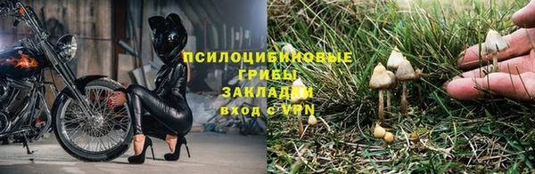 трава Новодвинск