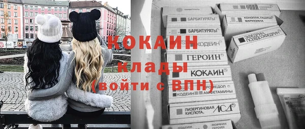 трава Новодвинск