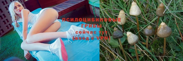 метадон Новозыбков