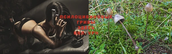 трава Новодвинск