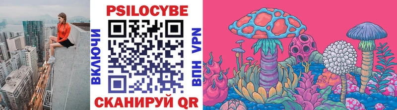 Псилоцибиновые грибы Psilocybe  купить закладку  mega ссылка  Саранск 